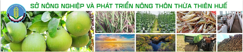Sở NN&PTNT Thừa Thiên Huế